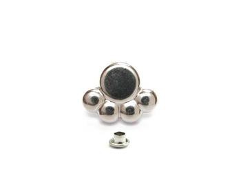 dog paw black