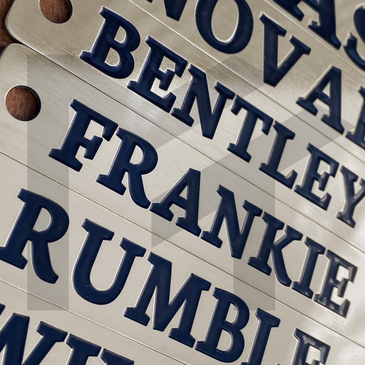 Toby Nameplate Custom Engraved Nameplates – Premium Tags for Halters, Collars ...