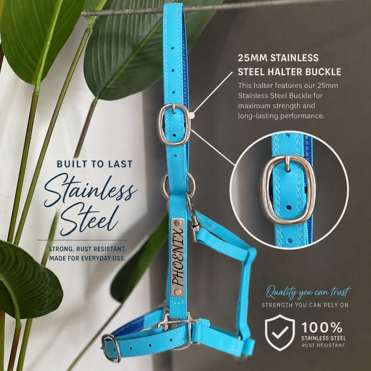 Heavy Stainless Steel Halter Buckle