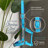 Heavy Stainless Steel Halter Buckle