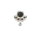 dog paw black